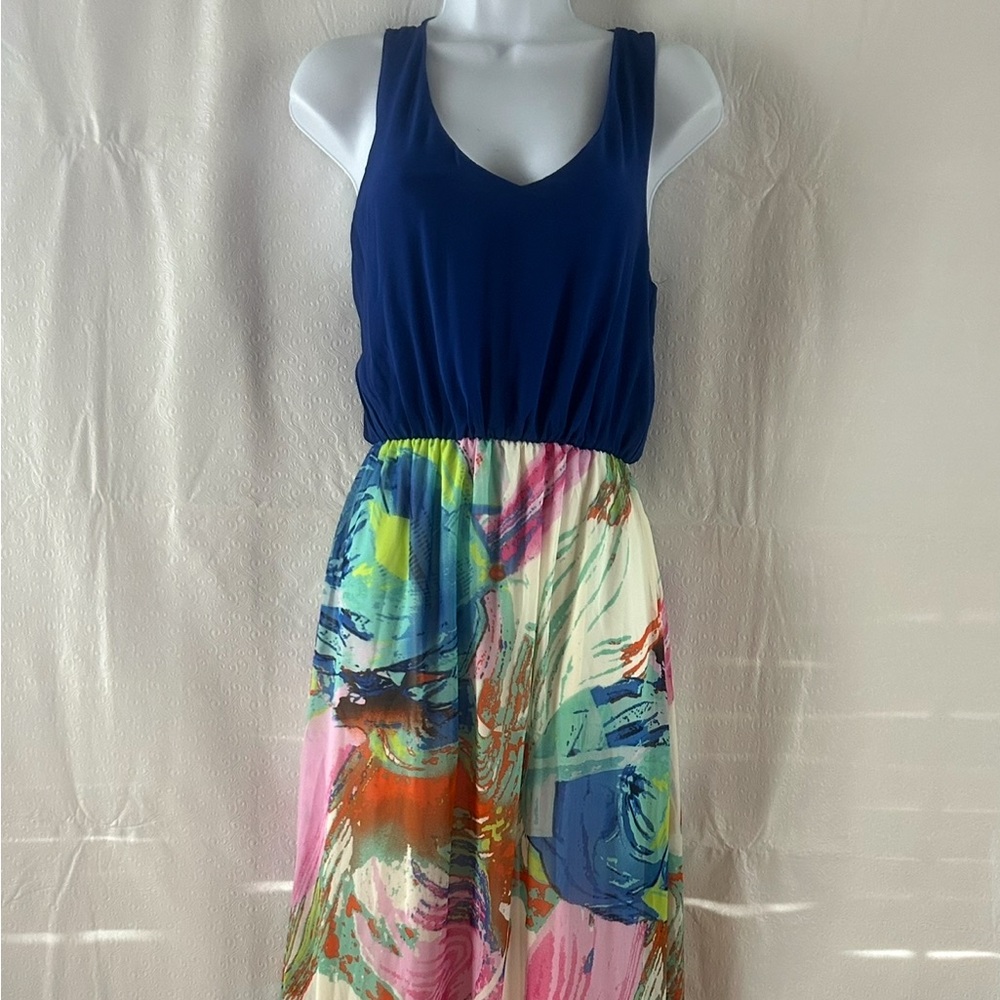 Women’s Pink Owl Maxi Dress Spaghetti Strap Blue Multicolor Lined Size S
